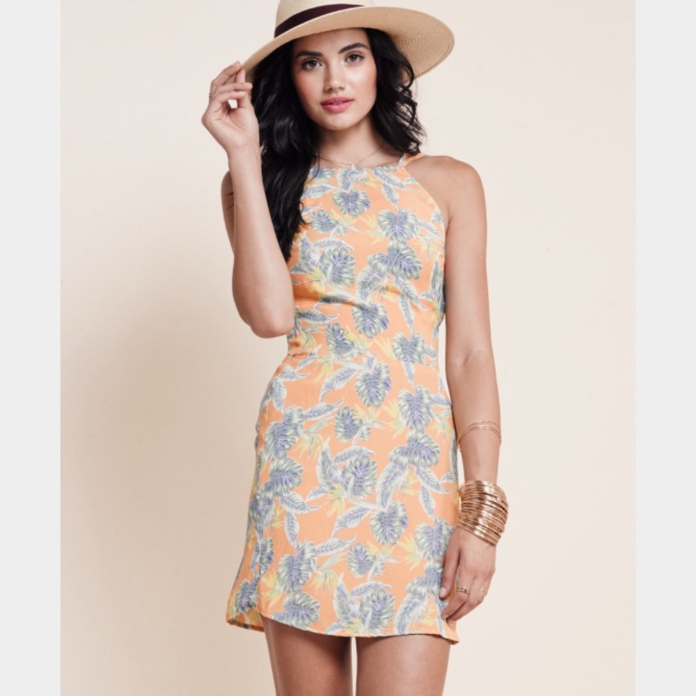 For love & lemons dress