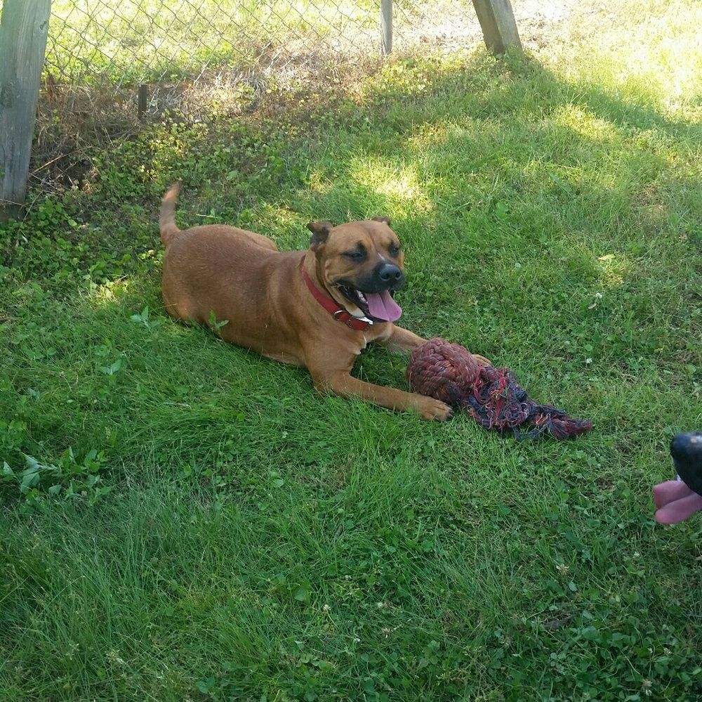 Meet your Posher, Erin