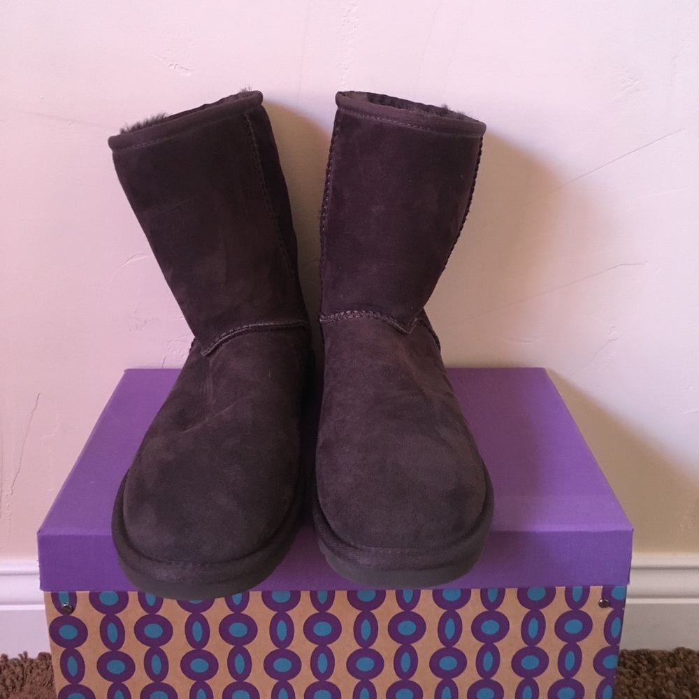 Chocolate Brown Uggs