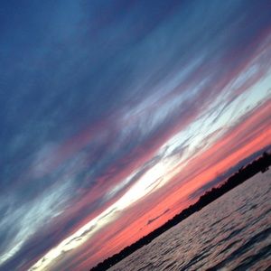 Meet your Posher, Joey