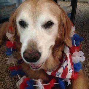 Meet your Posher, Bobbi