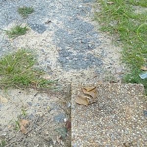 Meet your Posher, Lemarcus