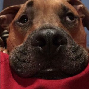 Meet your Posher, Tami