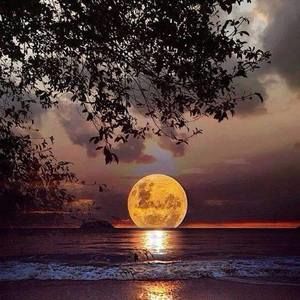 Meet your Posher, Michele