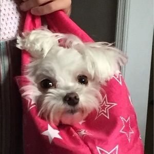 Meet your Posher, Jill