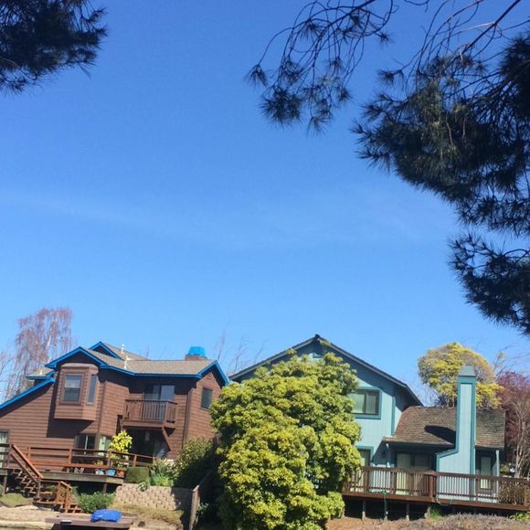 Meet your Posher, Armando - Picture 1 of 1