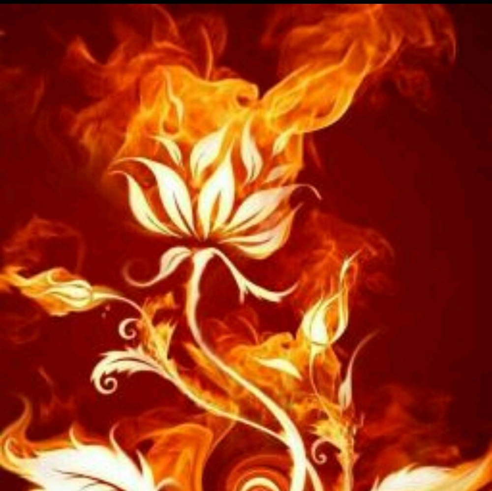 Meet your Posher, Oakley