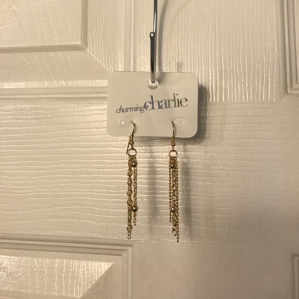 Never Worn Before Gold Charming Charlie Earrings