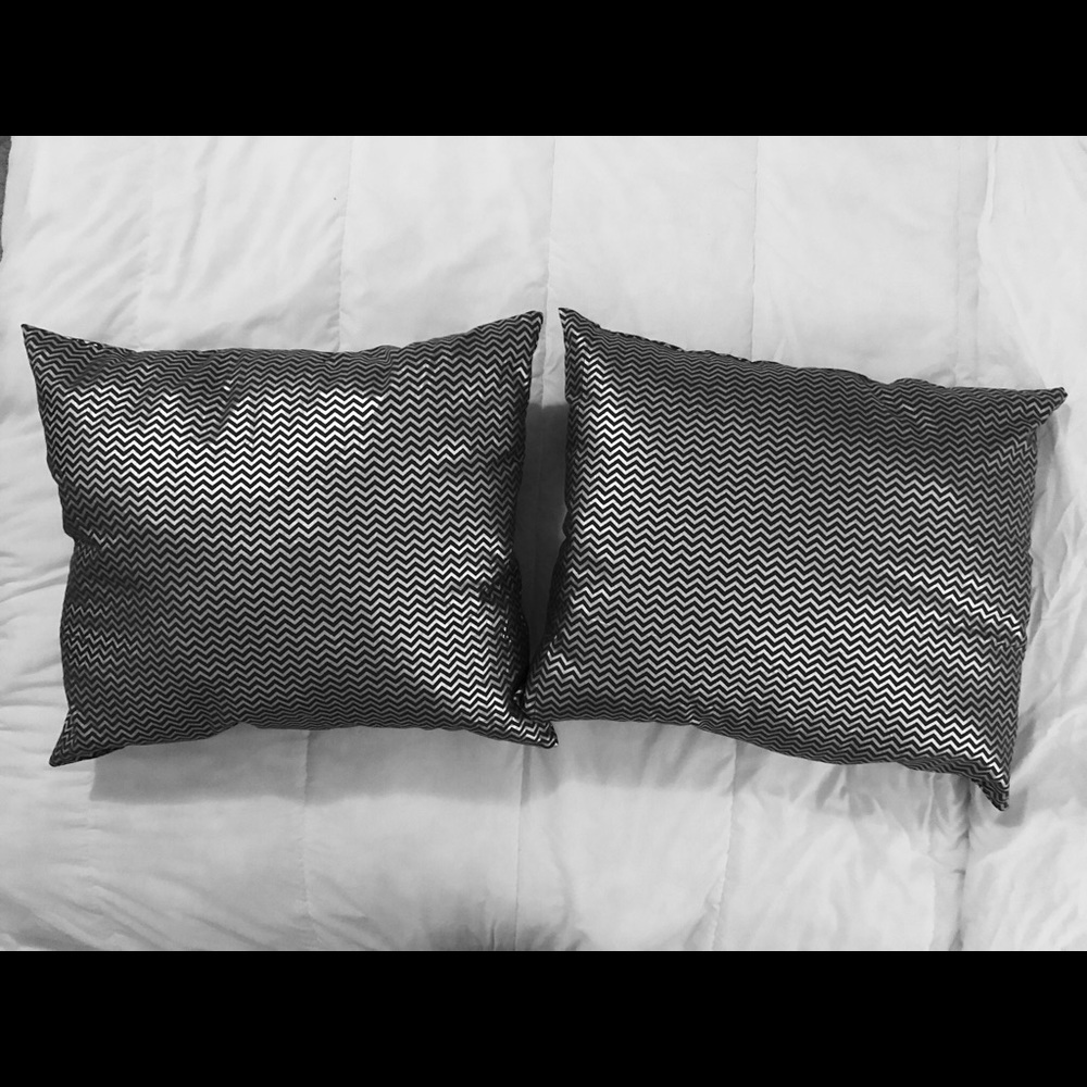 Pack of 2 pillows fashion decoration Gray