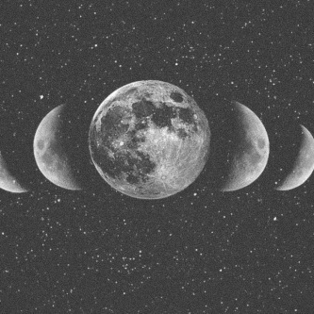 Meet your Posher, Emilie