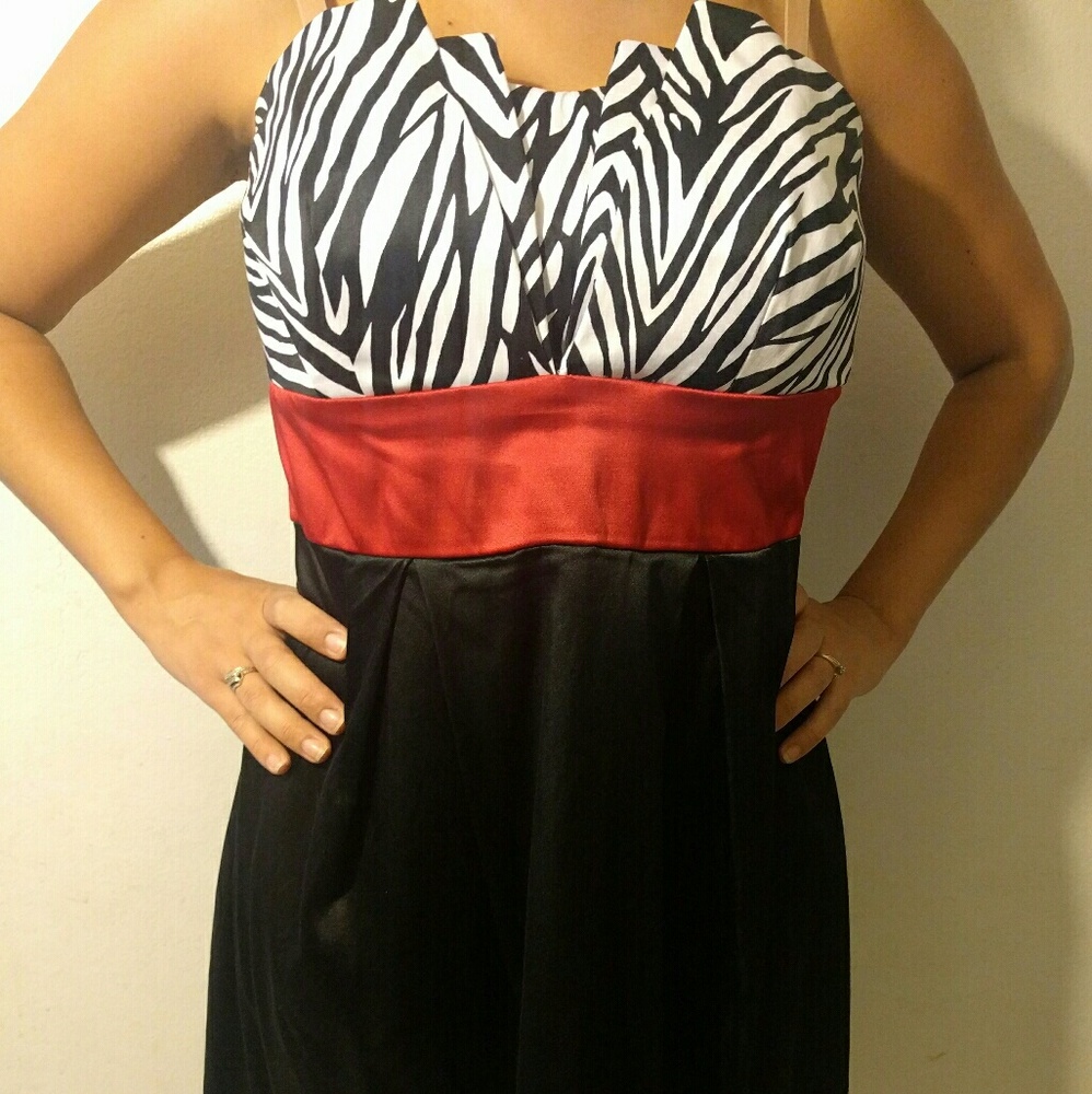 Zebra Dress!