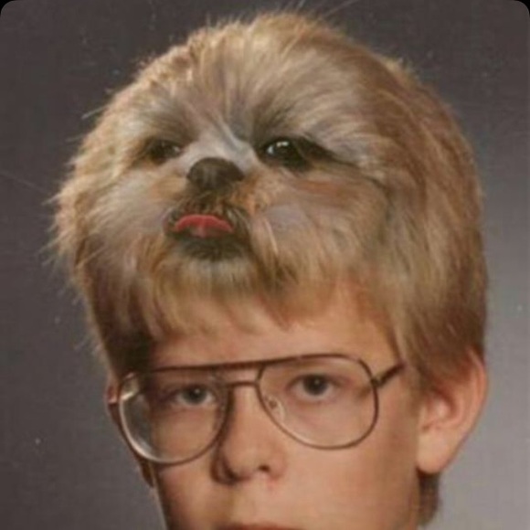 Meet your Posher, Ruby - Picture 1 of 1