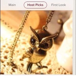 ⚡️sale⚡️🎉HP🎉Owl shape Sweater necklace