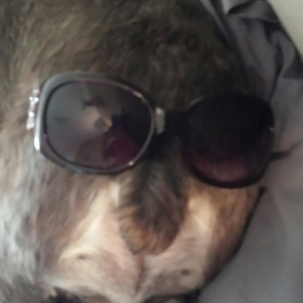 Meet your Posher, Sunshine