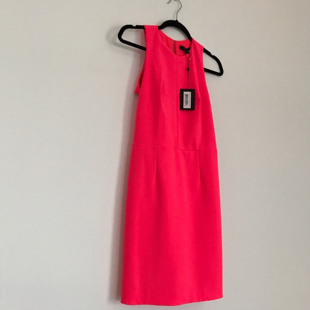 Hot Pink Alexander Wang dress