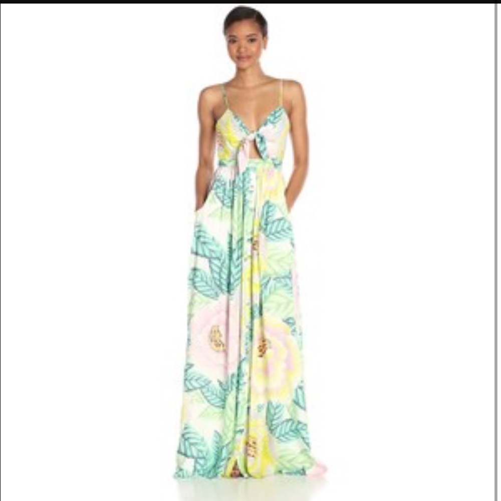 ISO Mara Hoffman Flora Stone Maxi Dress tie front - Picture 1 of 1