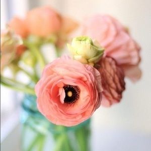 Meet your Posher, Carrie