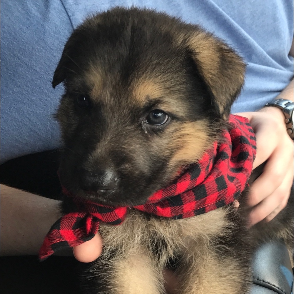 Meet your Posher, Lu