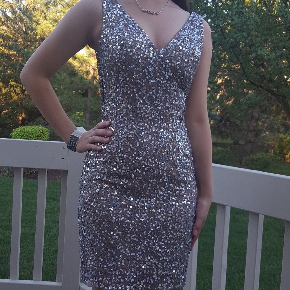 Silver Sequin Dress