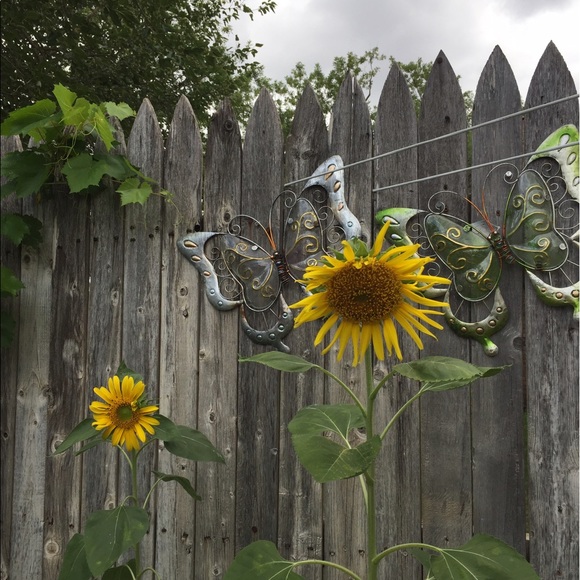 Meet your Posher, Carla - Picture 1 of 1