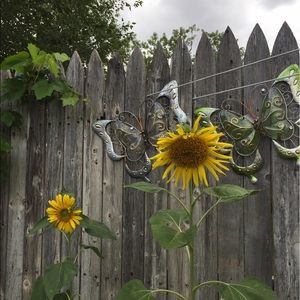 Meet your Posher, Carla