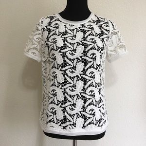 LOFT • White Lace Top