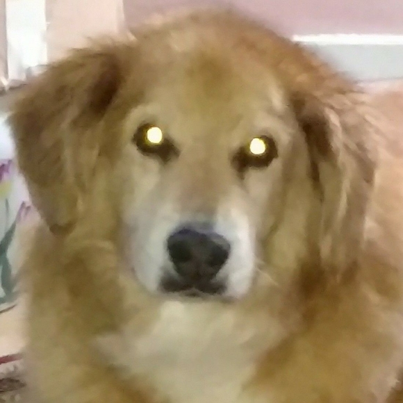 Meet your Posher, Roxane - Picture 1 of 1