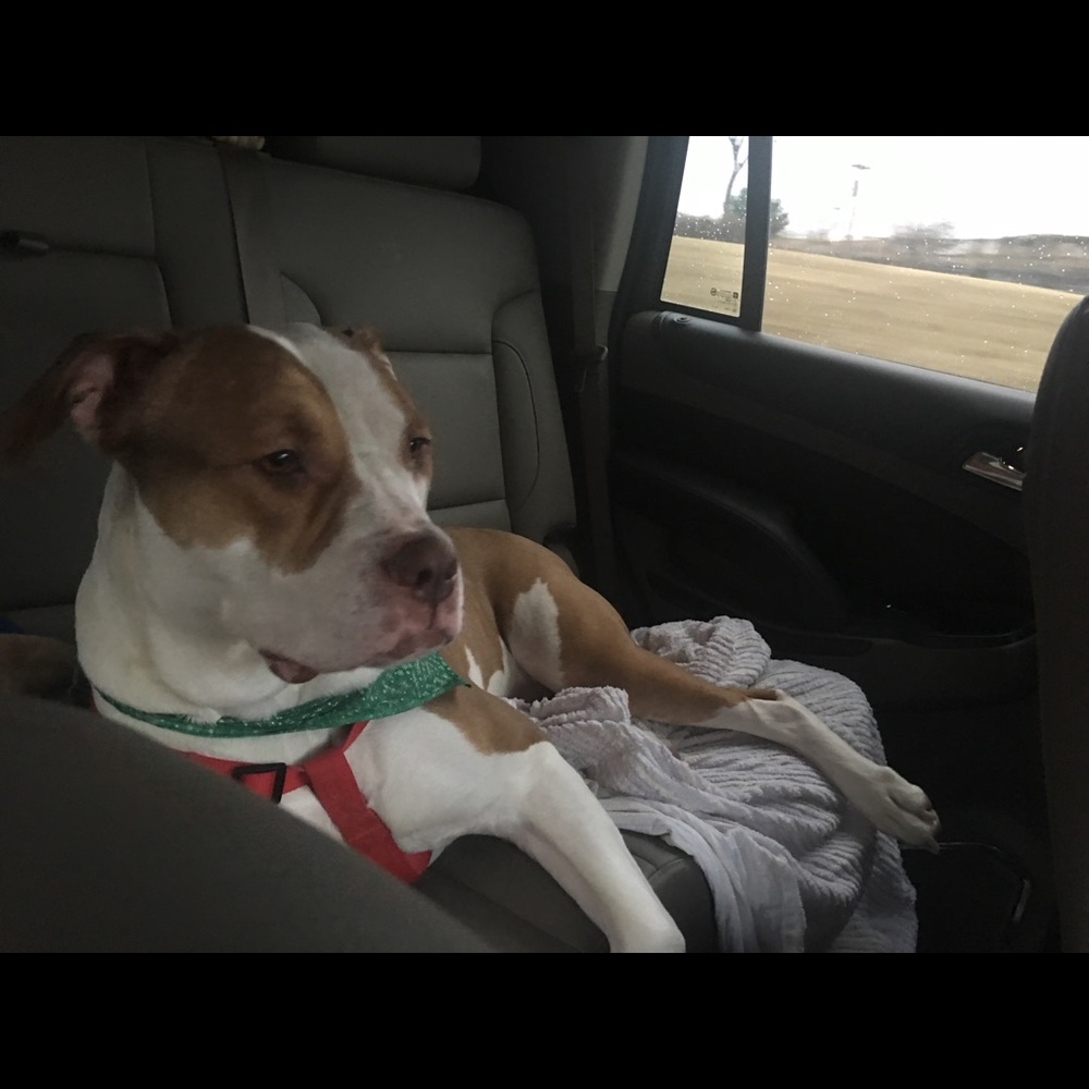 Meet your Posher, Angela