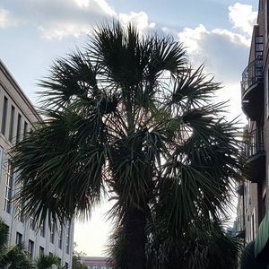 Meet your Posher, Kellie