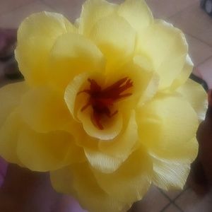 Meet your Posher, Flor