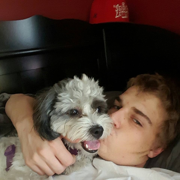 Meet your Posher, Dan - Picture 1 of 1