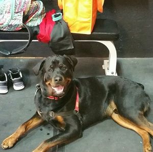 Meet your Posher, Stephanie