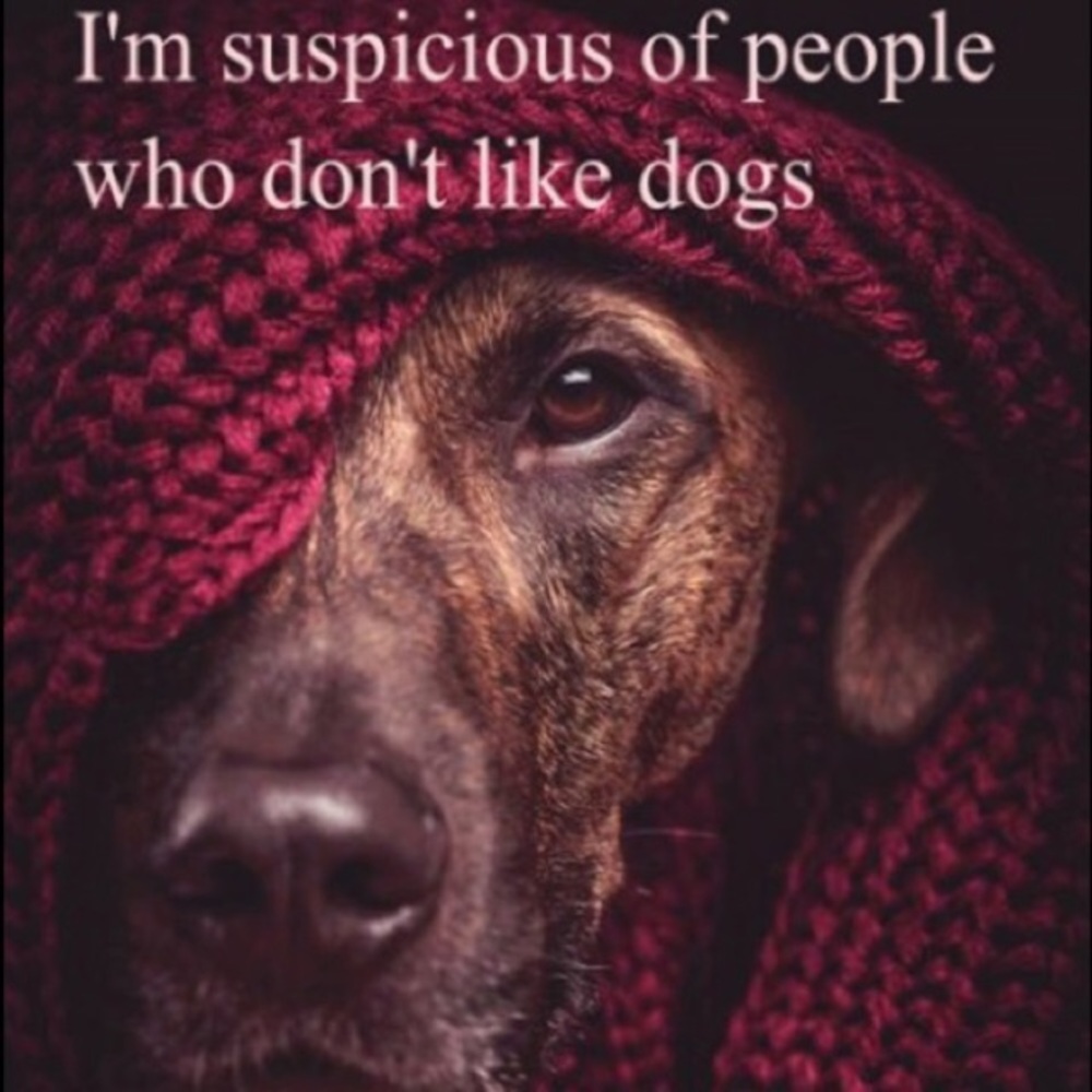 But.. I trust a dog when it doesn't like a person