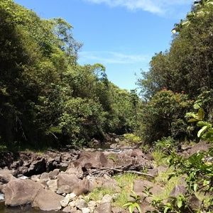 Meet your Posher, Nicolo