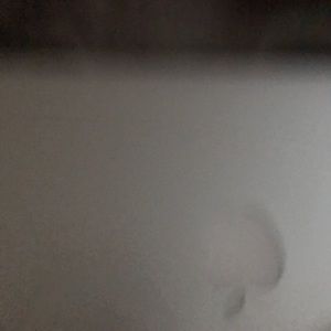 Meet your Posher, Dillon