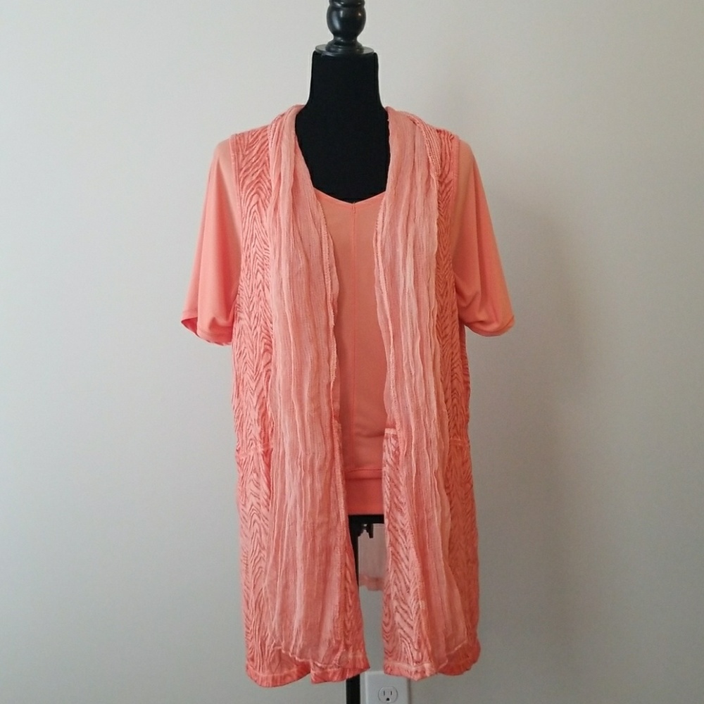 Chicos Top and Vest Set
