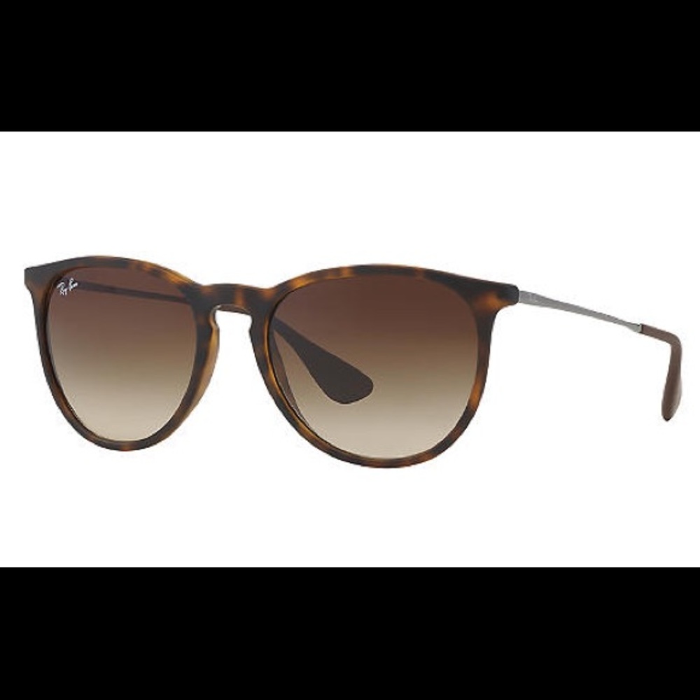 Rayban Erika Classic Sunglasses