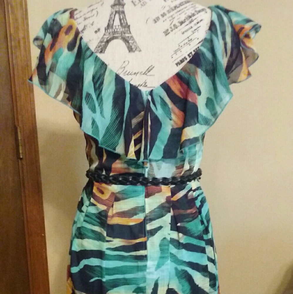 Sleeveless Ruffle Dres - Picture 6 of 6