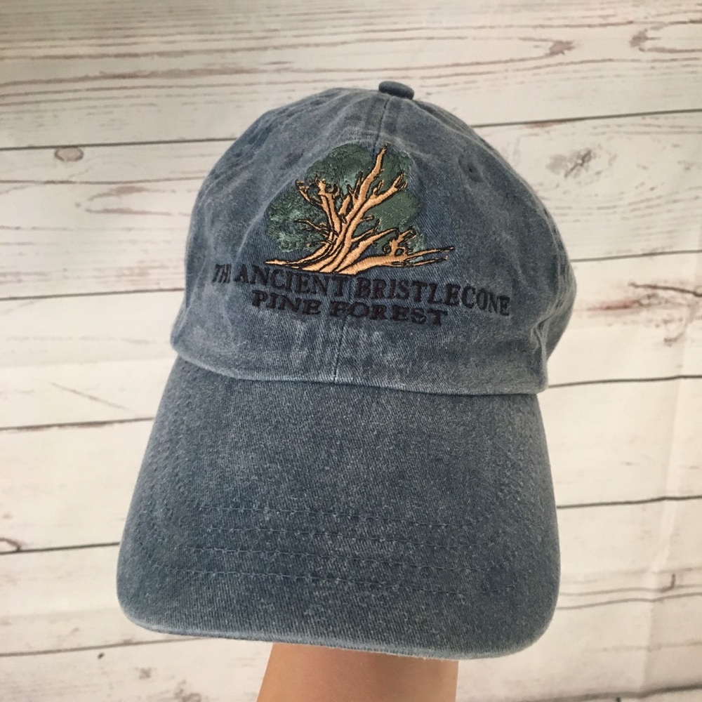 Post and company rustic hat