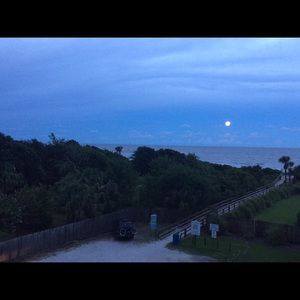 Meet your Posher, Wanda