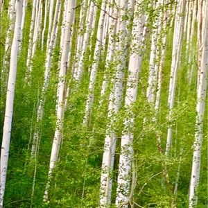 Meet your Posher, Glenn