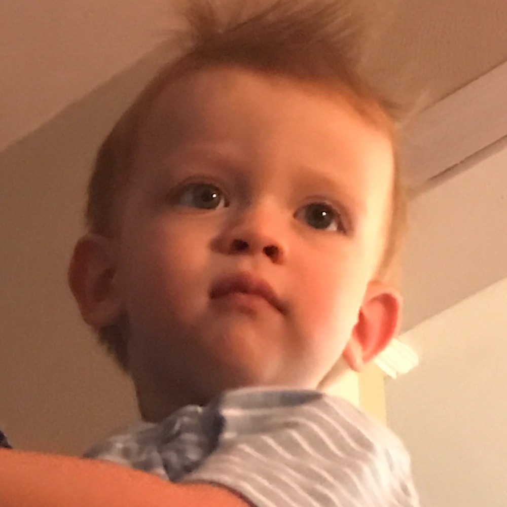 Meet your Posher, Reagan