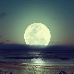 Meet your Posher, Yvette