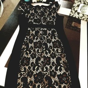 Jax size 10 lace black over cream.