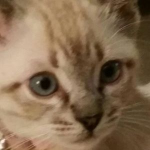 Meet your Posher, Ca