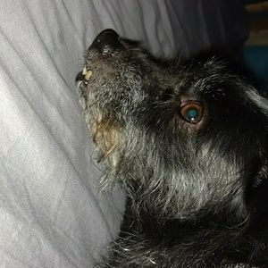 Meet your Posher, Jurni