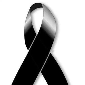 Meet your Posher, Jimmy