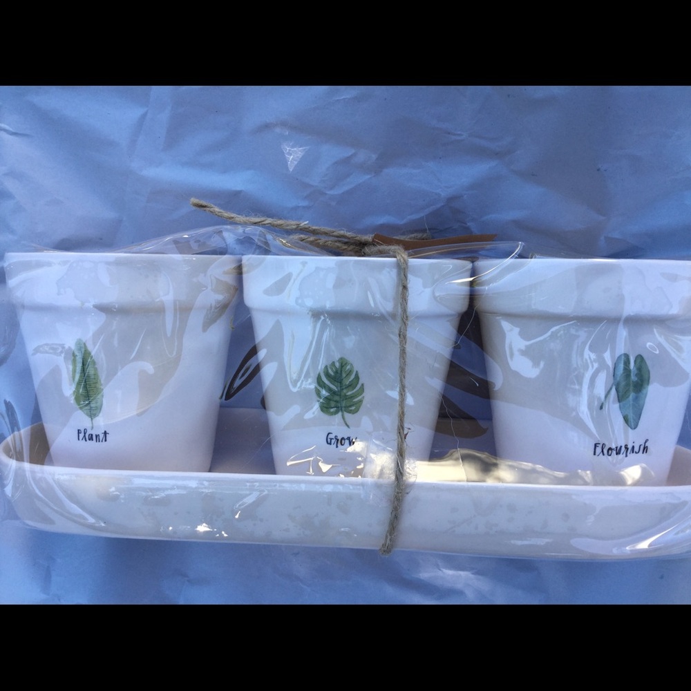 Brand New Rae Dunn planter set