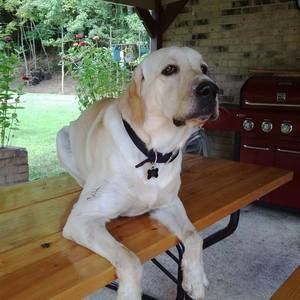 Meet your Posher, Pam