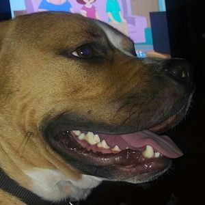 Meet your Posher, Zach